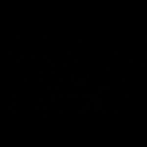 Meet your Posher, Ashanti